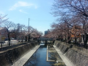 大江川いまいち