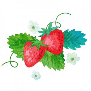 strawberry_natural2